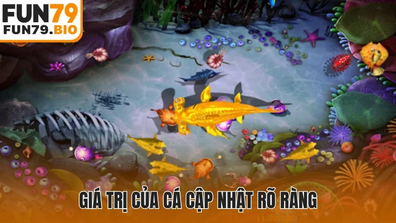 Giá trị của cá cập nhật rõ ràng